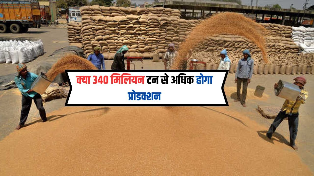 Haryana News:केंद्र ने खाद्यान्न उत्पादन का लक्ष्य रखा है, जो 340 मिलियन टन से अधिक होगा, ये आंकड़े हैं